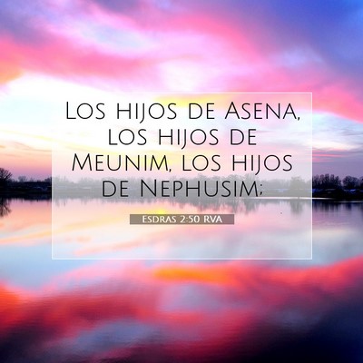 Picture 07 - Esdras 2:50 RVA - Los hijos de Asena, los hijos de Meunim, los - Bible Verse Picture