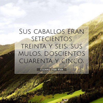 Picture 07 - Esdras 2:66 RVA - Sus caballos eran setecientos treinta y seis; sus - Bible Verse Picture