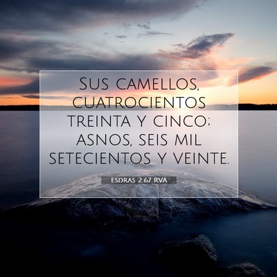 Picture 07 - Esdras 2:67 RVA - Sus camellos, cuatrocientos treinta y cinco; - Bible Verse Picture