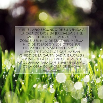 Picture 07 - Esdras 3:8 RVA - Y en el año segundo de su venida á la casa de - Bible Verse Picture