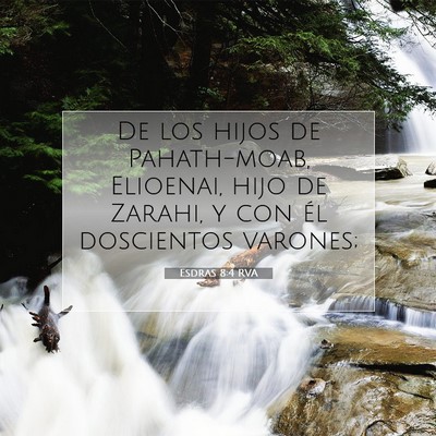 Picture 07 - Esdras 8:4 RVA - De los hijos de Pahath-moab, Elioenai, hijo de - Bible Verse Picture