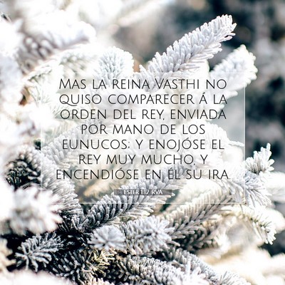 Picture 07 - Ester 1:12 RVA - Mas la reina Vasthi no quiso comparecer á la - Bible Verse Picture