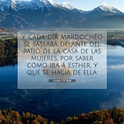 Picture 07 - Ester 2:11 RVA - Y cada día Mardochêo se paseaba delante del - Bible Verse Picture