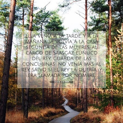 Picture 07 - Ester 2:14 RVA - Ella venía á la tarde, y á la mañana se - Bible Verse Picture