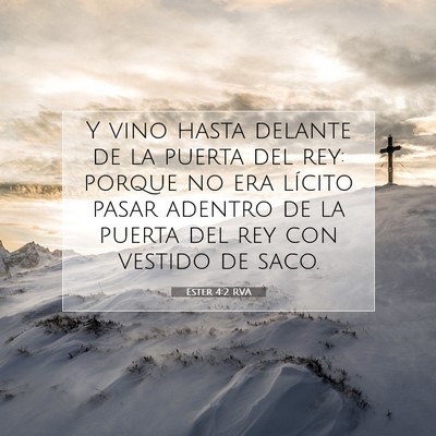 Picture 07 - Ester 4:2 RVA - Y vino hasta delante de la puerta del rey: porque - Bible Verse Picture