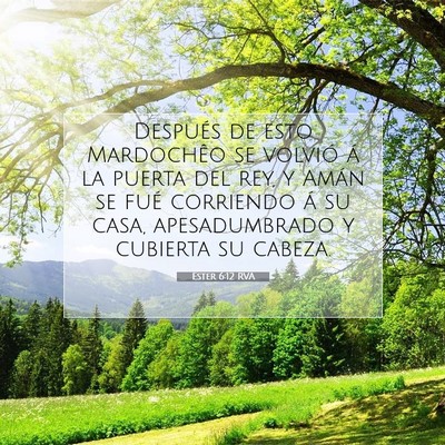 Picture 07 - Ester 6:12 RVA - Después de esto Mardochêo se volvió á la - Bible Verse Picture