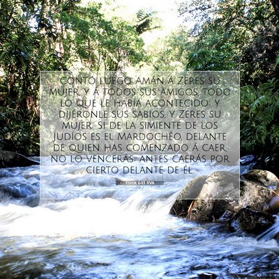 Picture 07 - Ester 6:13 RVA - Contó luego Amán á Zeres su mujer, y á todos - Bible Verse Picture