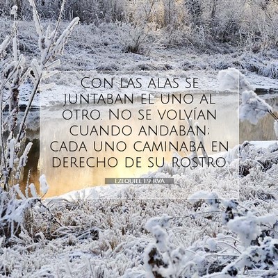 Picture 07 - Ezequiel 1:9 RVA - Con las alas se juntaban el uno al otro. No se - Bible Verse Picture