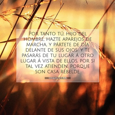 Picture 07 - Ezequiel 12:3 RVA - Por tanto tú, hijo del hombre, hazte aparejos de - Bible Verse Picture