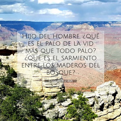 Picture 07 - Ezequiel 15:2 RVA - Hijo del hombre, ¿qué es el palo de la vid más - Bible Verse Picture