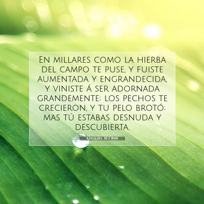 Picture 07 - Ezequiel 16:7 RVA - En millares como la hierba del campo te puse, y - Bible Verse Picture