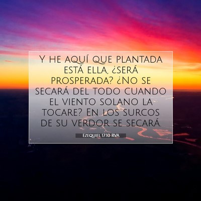Picture 07 - Ezequiel 17:10 RVA - Y he aquí que plantada está ella, ¿será - Bible Verse Picture