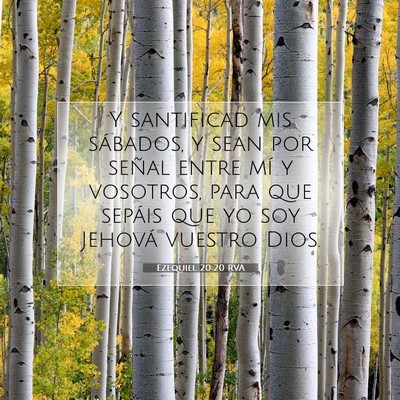 Picture 07 - Ezequiel 20:20 RVA - Y santificad mis sábados, y sean por señal - Bible Verse Picture