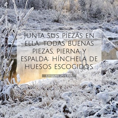 Picture 07 - Ezequiel 24:4 RVA - Junta sus piezas en ella; todas buenas piezas, - Bible Verse Picture
