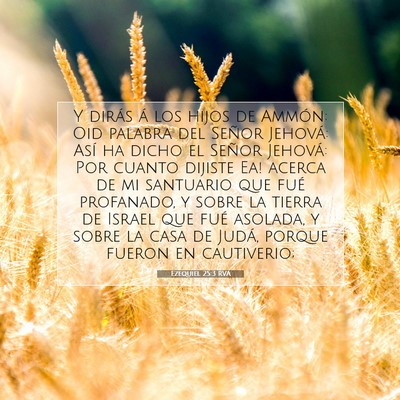Picture 07 - Ezequiel 25:3 RVA - Y dirás á los hijos de Ammón: Oid palabra del - Bible Verse Picture