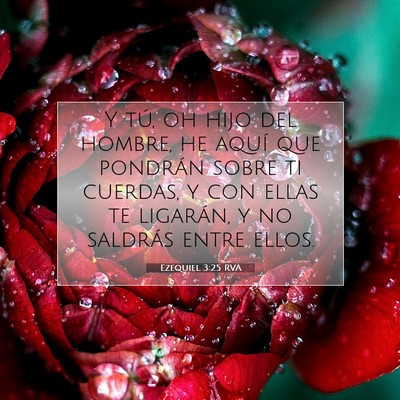 Picture 07 - Ezequiel 3:25 RVA - Y tú, oh hijo del hombre, he aquí que pondrán - Bible Verse Picture
