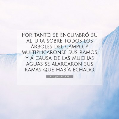 Picture 07 - Ezequiel 31:5 RVA - Por tanto, se encumbró su altura sobre todos los - Bible Verse Picture