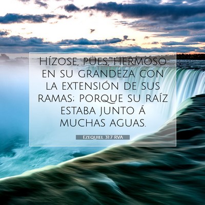 Picture 07 - Ezequiel 31:7 RVA - Hízose, pues, hermoso en su grandeza con la - Bible Verse Picture