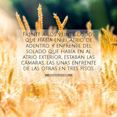 Picture 07 - Ezequiel 42:3 RVA - Frente á los veinte codos que había en el atrio - Bible Verse Picture