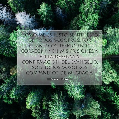 Picture 07 - Filipenses 1:7 RVA - Como me es justo sentir esto de todos vosotros, - Bible Verse Picture