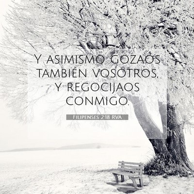 Picture 07 - Filipenses 2:18 RVA - Y asimismo gozaos también vosotros, y regocijaos - Bible Verse Picture