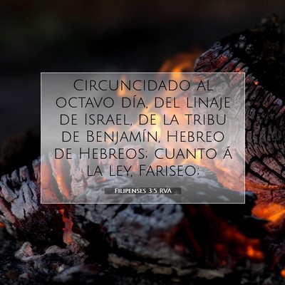 Picture 07 - Filipenses 3:5 RVA - Circuncidado al octavo día, del linaje de - Bible Verse Picture