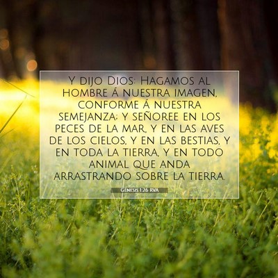 Picture 07 - Génesis 1:26 RVA - Y dijo Dios: Hagamos al hombre á nuestra imagen, - Bible Verse Picture