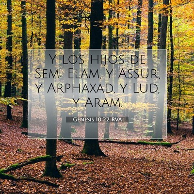 Picture 07 - Génesis 10:22 RVA - Y los hijos de Sem: Elam, y Assur, y Arphaxad, y - Bible Verse Picture