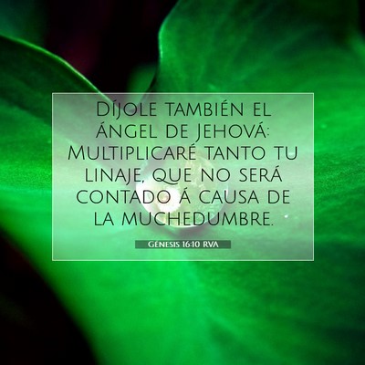 Picture 07 - Génesis 16:10 RVA - Díjole también el ángel de Jehová: - Bible Verse Picture