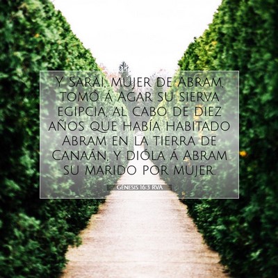 Picture 07 - Génesis 16:3 RVA - Y Sarai, mujer de Abram, tomó á Agar su sierva - Bible Verse Picture