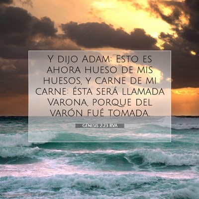 Picture 07 - Génesis 2:23 RVA - Y dijo Adam: Esto es ahora hueso de mis huesos, y - Bible Verse Picture