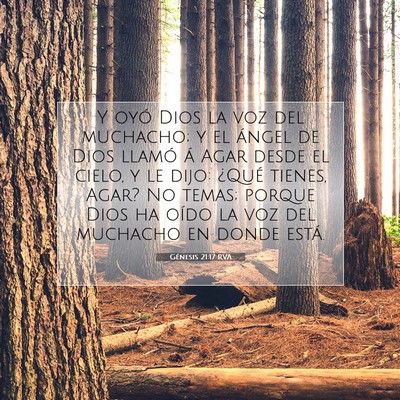 Picture 07 - Génesis 21:17 RVA - Y oyó Dios la voz del muchacho; y el ángel de - Bible Verse Picture