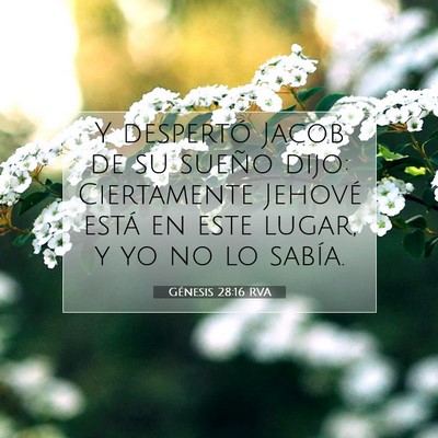 Picture 07 - Génesis 28:16 RVA - Y despertó Jacob de su sueño dijo: Ciertamente - Bible Verse Picture