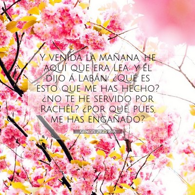 Picture 07 - Génesis 29:25 RVA - Y venida la mañana, he aquí que era Lea: y él - Bible Verse Picture