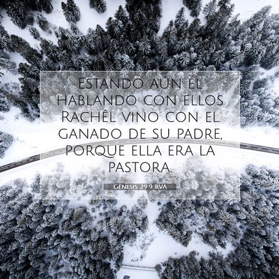 Picture 07 - Génesis 29:9 RVA - Estando aún él hablando con ellos Rachêl vino - Bible Verse Picture