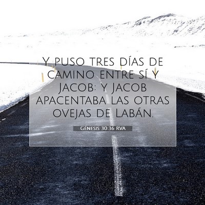 Picture 07 - Génesis 30:36 RVA - Y puso tres días de camino entre sí y Jacob: y - Bible Verse Picture