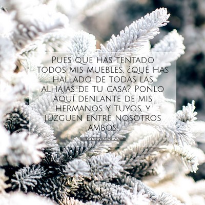 Picture 07 - Génesis 31:37 RVA - Pues que has tentado todos mis muebles, ¿qué - Bible Verse Picture