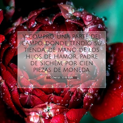 Picture 07 - Génesis 33:19 RVA - Y compró una parte del campo, donde tendió su - Bible Verse Picture