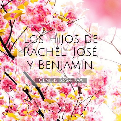 Picture 07 - Génesis 35:24 RVA - Los hijos de Rachêl: José, y - Bible Verse Picture