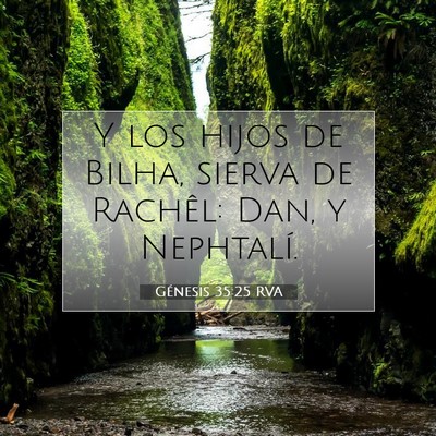 Picture 07 - Génesis 35:25 RVA - Y los hijos de Bilha, sierva de Rachêl: Dan, y - Bible Verse Picture