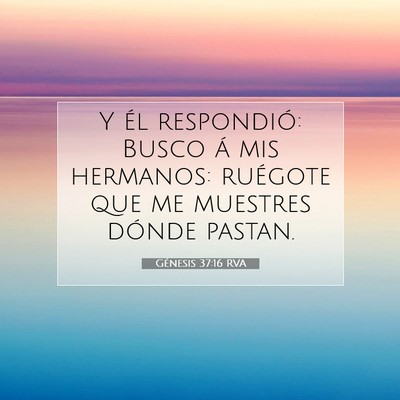 Picture 07 - Génesis 37:16 RVA - Y él respondió: Busco á mis hermanos: ruégote - Bible Verse Picture