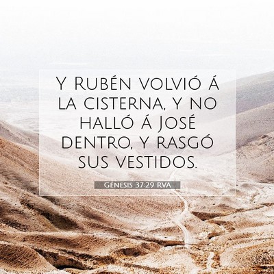 Picture 07 - Génesis 37:29 RVA - Y Rubén volvió á la cisterna, y no halló á - Bible Verse Picture