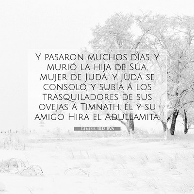 Picture 07 - Génesis 38:12 RVA - Y pasaron muchos días, y murió la hija de Súa, - Bible Verse Picture