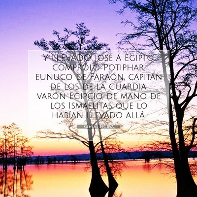 Picture 07 - Génesis 39:1 RVA - Y LLEVADO José á Egipto, comprólo Potiphar, - Bible Verse Picture