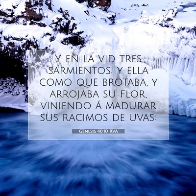 Picture 07 - Génesis 40:10 RVA - Y en la vid tres sarmientos; y ella como que - Bible Verse Picture