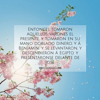 Picture 07 - Génesis 43:15 RVA - Entonces tomaron aquellos varones el presente, y - Bible Verse Picture