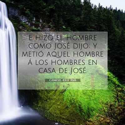 Picture 07 - Génesis 43:17 RVA - E hizo el hombre como José dijo; y metió aquel - Bible Verse Picture