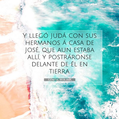 Picture 07 - Génesis 44:14 RVA - Y llegó Judá con sus hermanos á casa de José, - Bible Verse Picture
