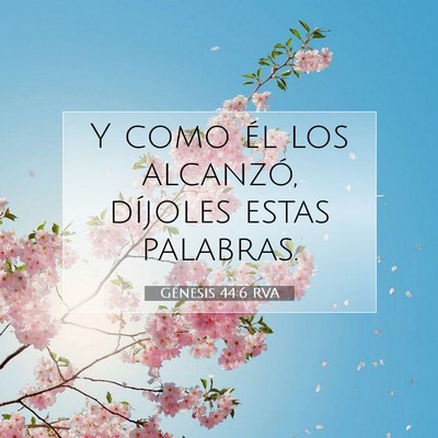 Picture 07 - Génesis 44:6 RVA - Y como él los alcanzó, díjoles estas - Bible Verse Picture