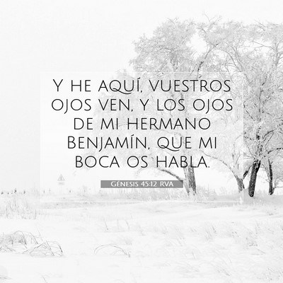 Picture 07 - Génesis 45:12 RVA - Y he aquí, vuestros ojos ven, y los ojos de mi - Bible Verse Picture